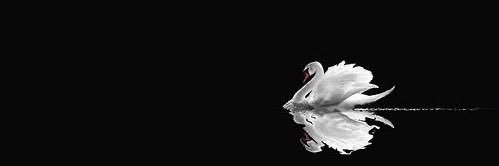 ‏ ‏ 𝔣 banner