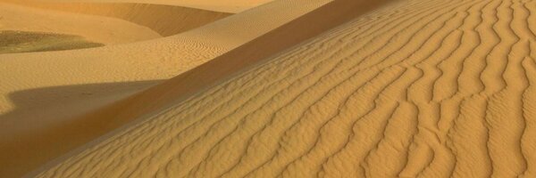 bewge Profile Banner
