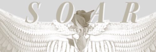 soar_images's profile banner image