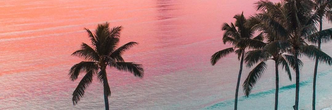 pikkie009's profile banner image