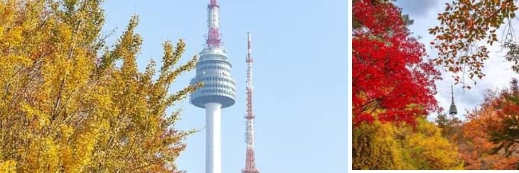 Digital World banner