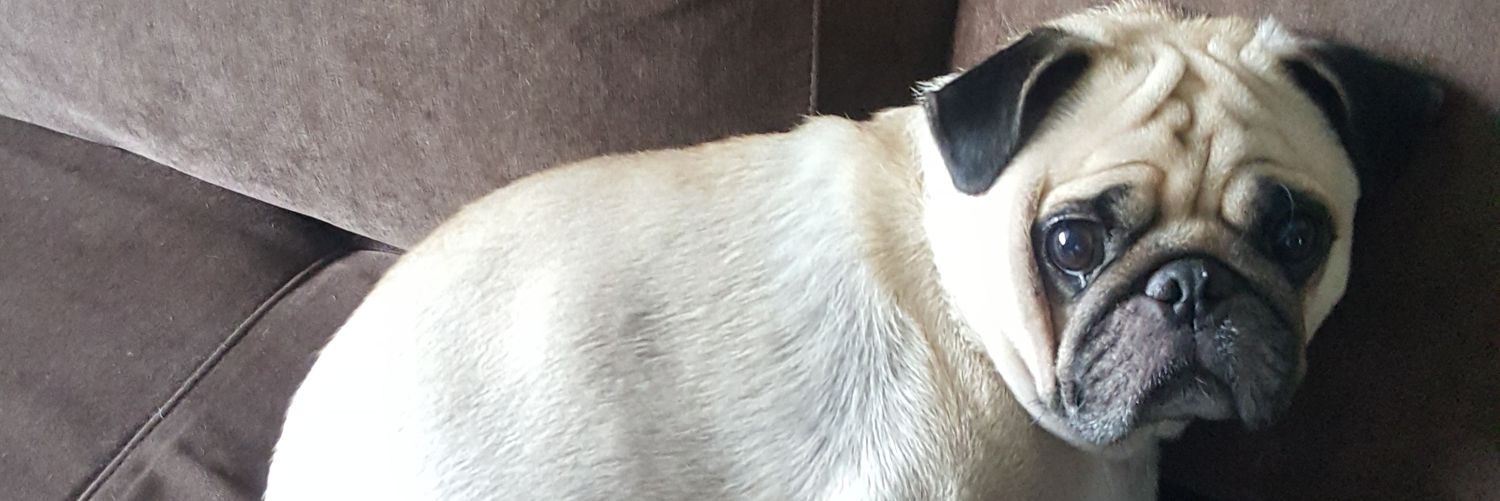 TutsNoSense's profile banner image