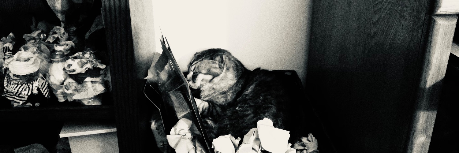 salenahu108's profile banner image