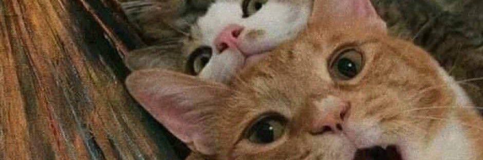 ꦄꦒꦸꦱ꧀​ꦫꦶꦢ꧀ꦮꦤ꧀  banner