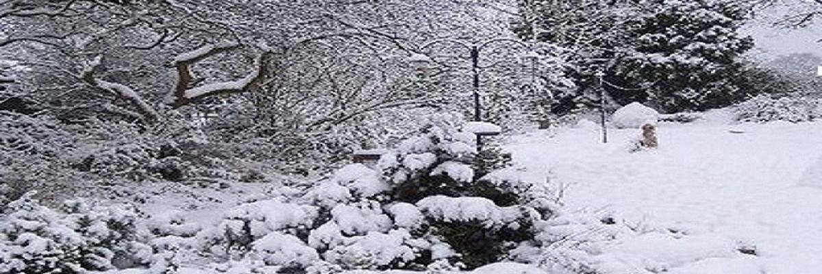 Mandy Rudczenko banner