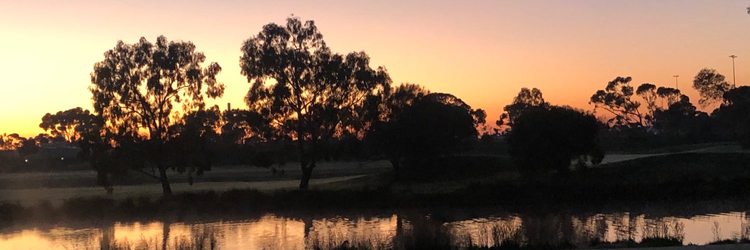 Stephen Burrows banner