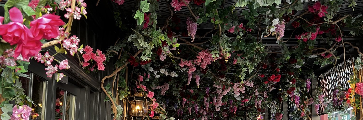 si ᥫ᭡'s banner