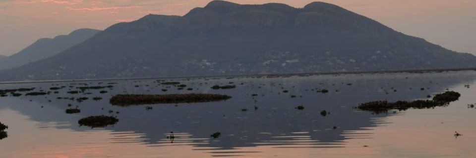 Pamela Masiko-Kambala banner