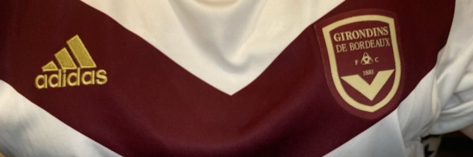 Dinkydrucila's profile banner image