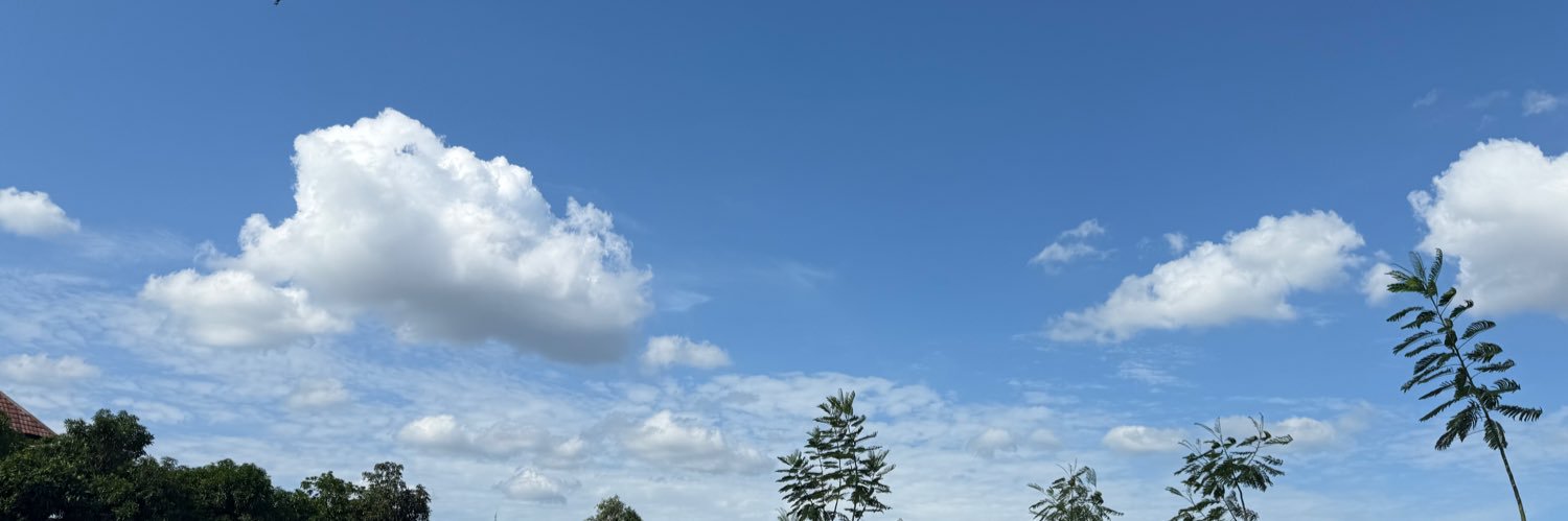 pegnwens's profile banner image