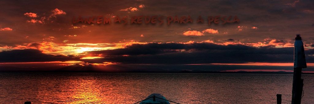 Twitter banner for @Nalfrago1