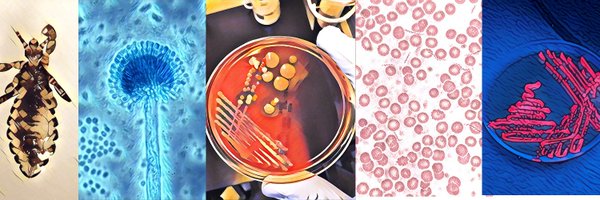 richdavisphd Profile Banner