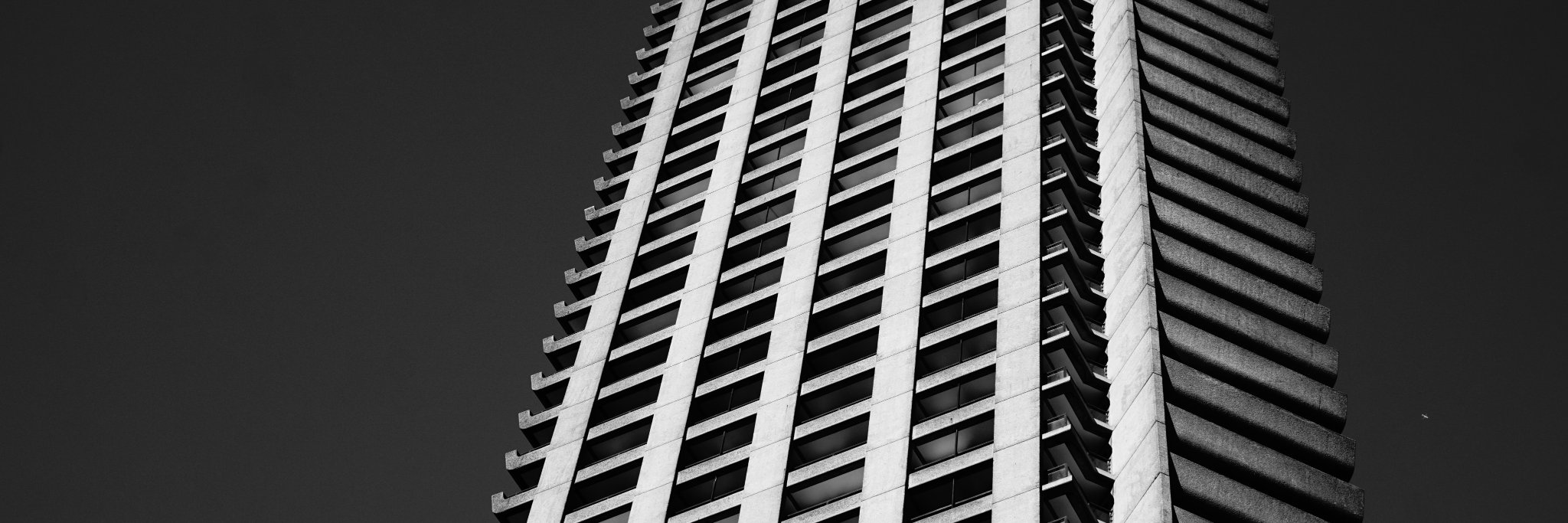 marssafari's profile banner image