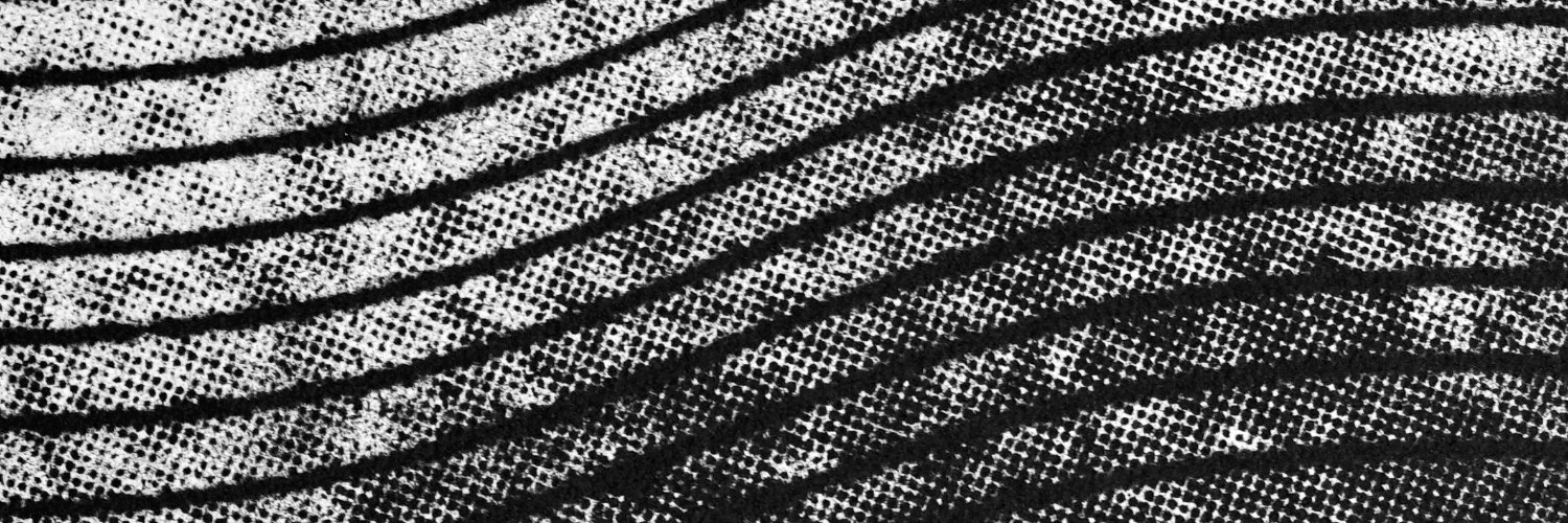 WalterRindone's profile banner image
