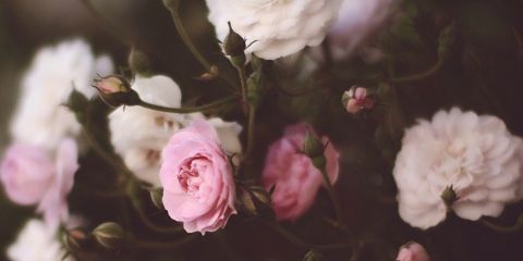 aingUrType's profile banner image