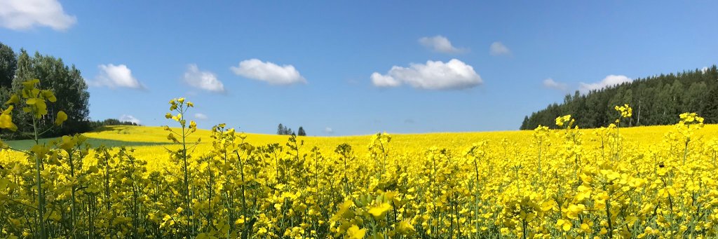 Esa Sirkiä banner