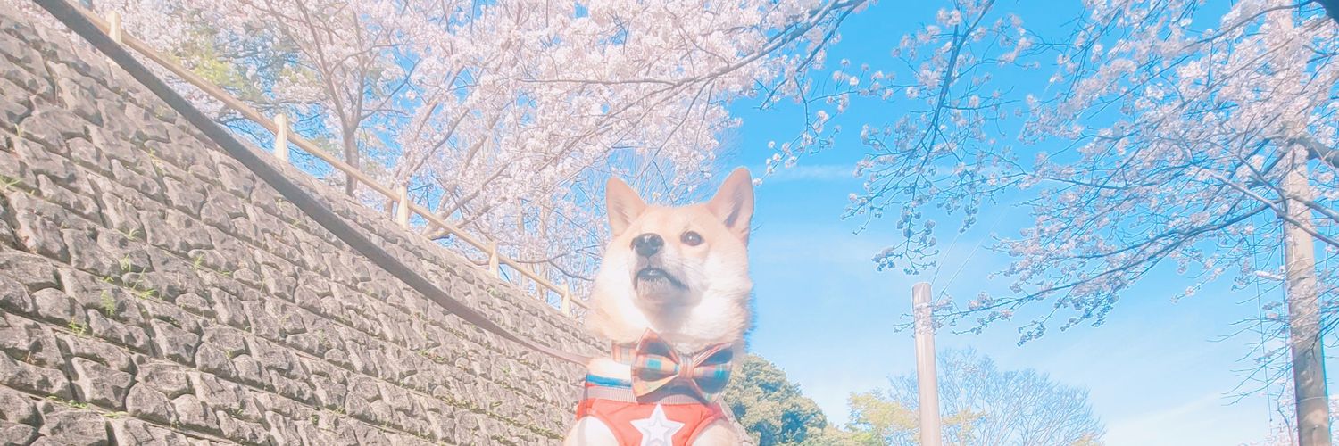 kanimayo99's profile banner image