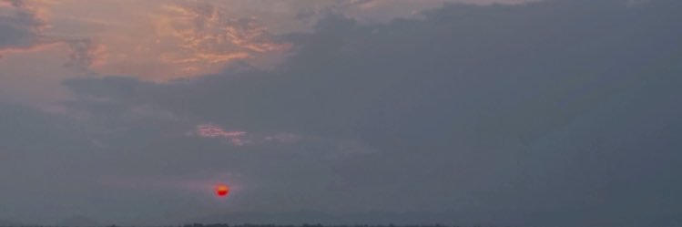 WI. 👽 banner