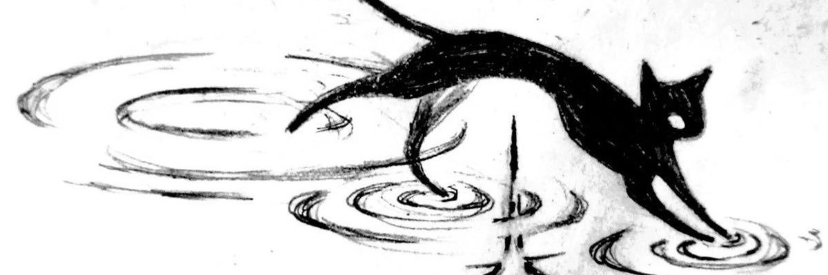 pauspiderw's profile banner image