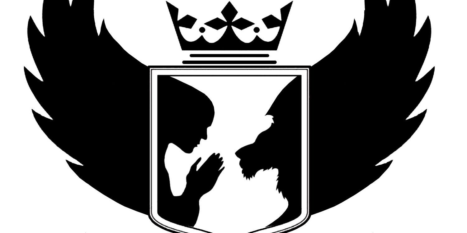 sudeshjangir's profile banner image