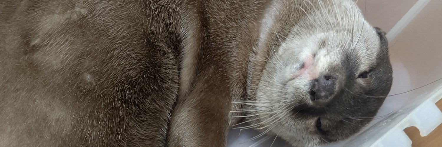 カルチョ🎨✏️ banner