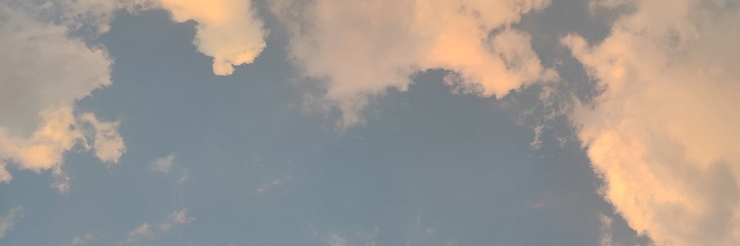 R0ZEBELLE's profile banner image
