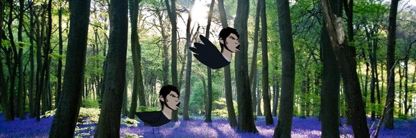 clfrsk Profile Banner