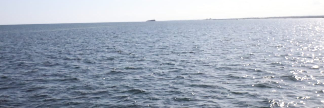 nerima_annet's profile banner image