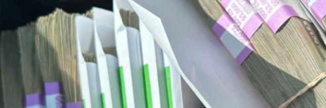 GeeSkii 🐺 banner
