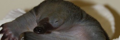 SandyCough's profile banner image