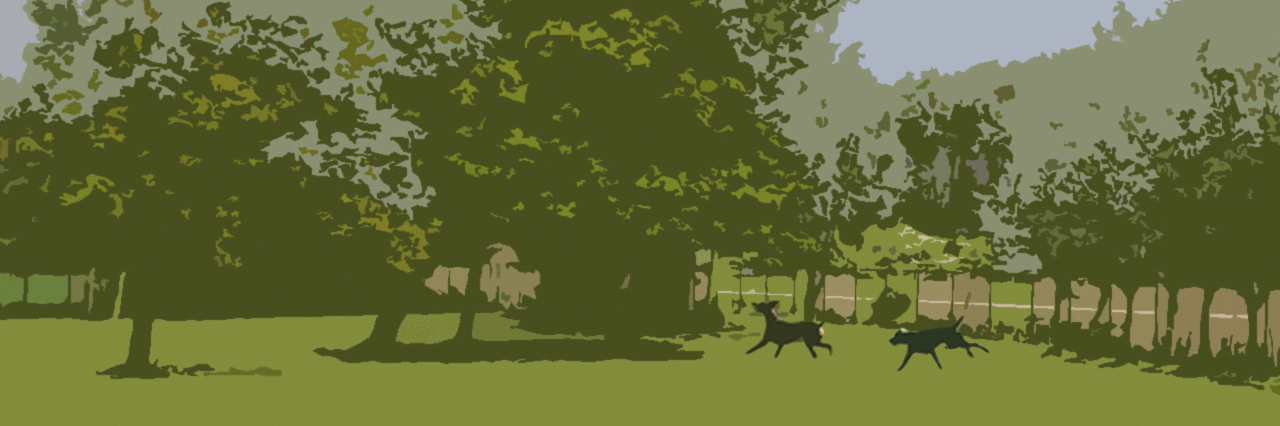 ADogsGreen's profile banner image