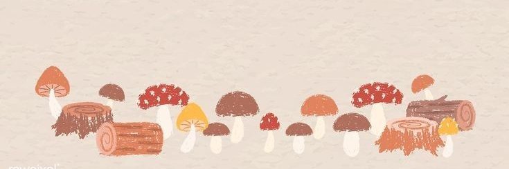 HoneyBee🍞🐝 banner