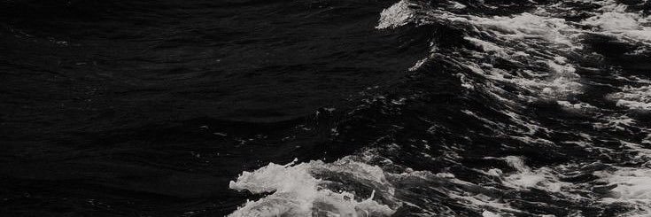 Leonardo Castellón ☭ banner