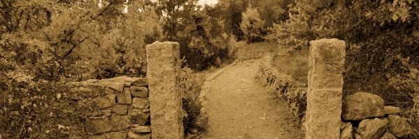 DavidPahor Profile Banner