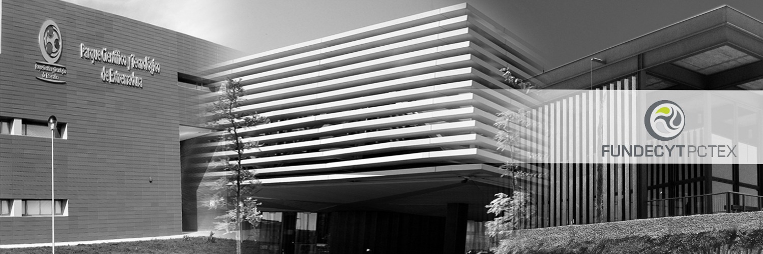 FUNDECYT-PCTEX banner