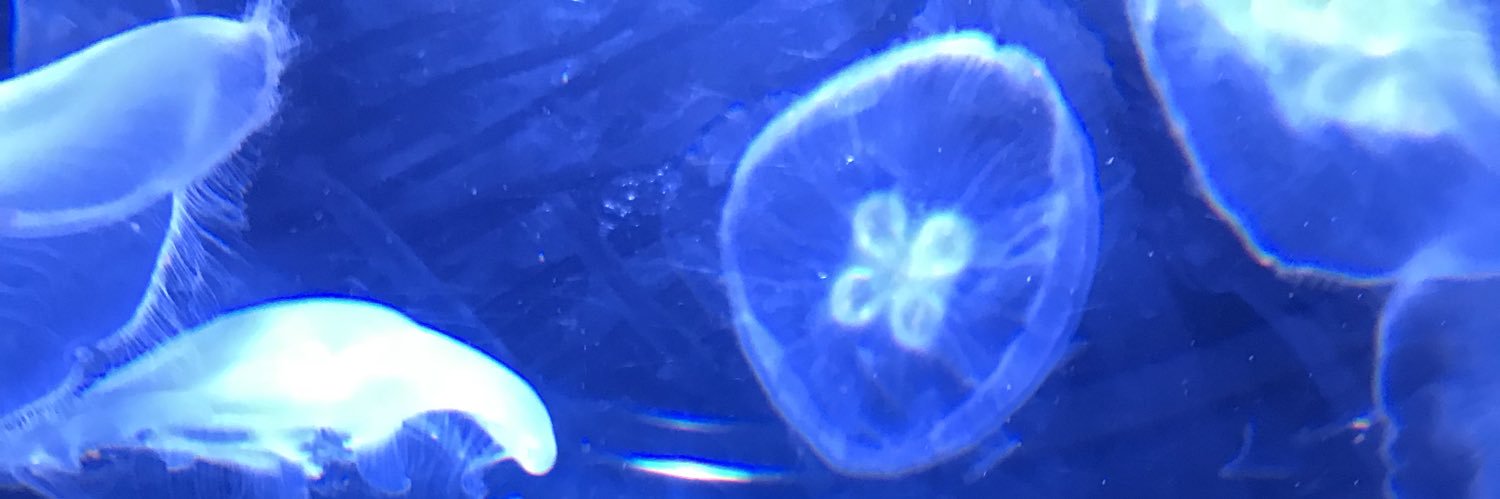 StevenOlivencia's profile banner image