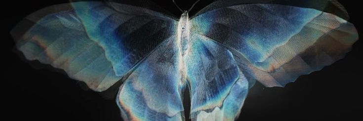 Mikels_web3's profile banner image