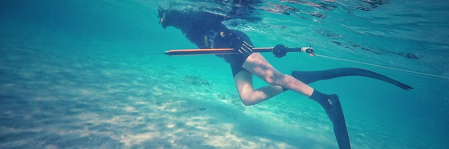 Nezar Shoneshah banner