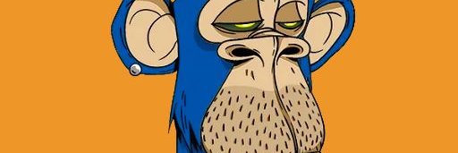 donwhite4554's profile banner image
