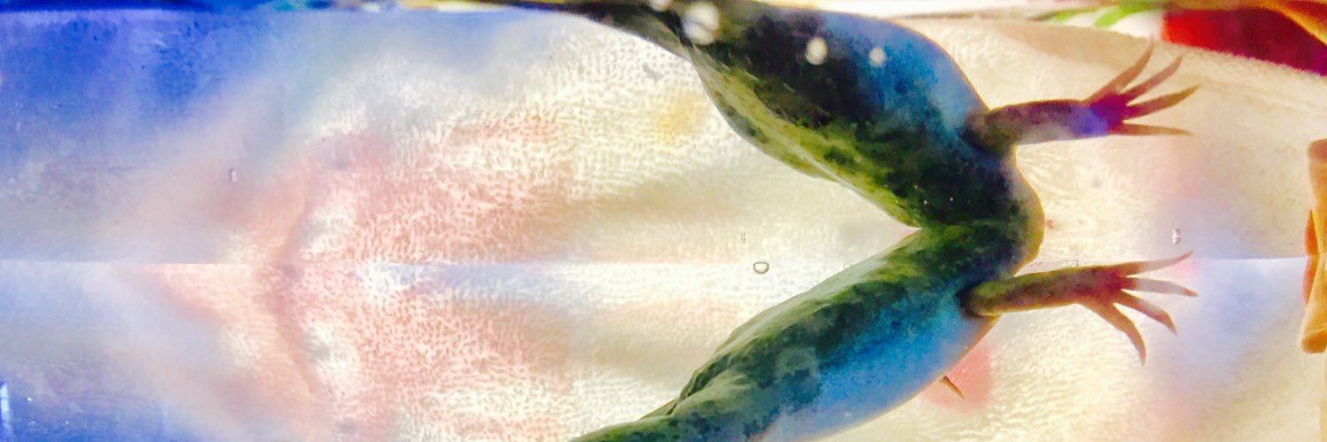 midj1010's profile banner image