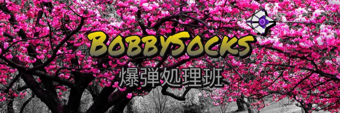 itsBobbySocks banner