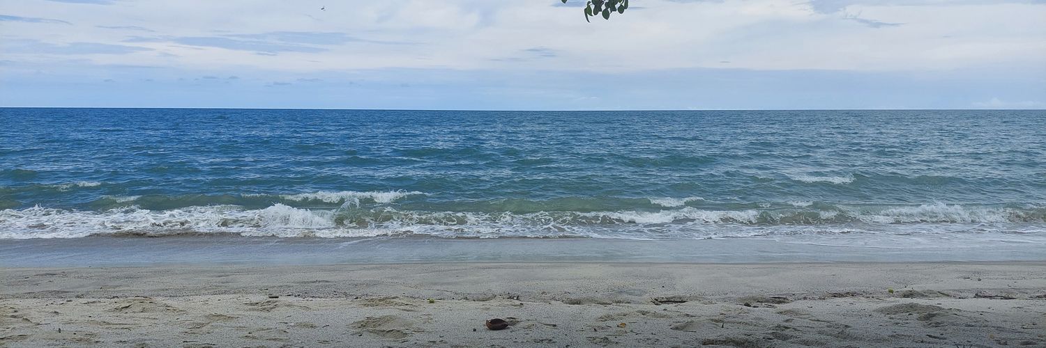 Katdeleon10's profile banner image