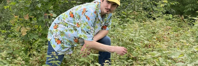 Cheezaight's profile banner image