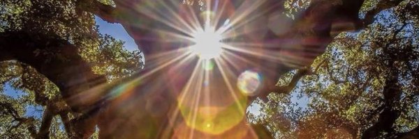 teresajhelm Profile Banner