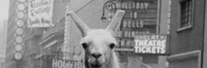 lindunaa's profile banner image