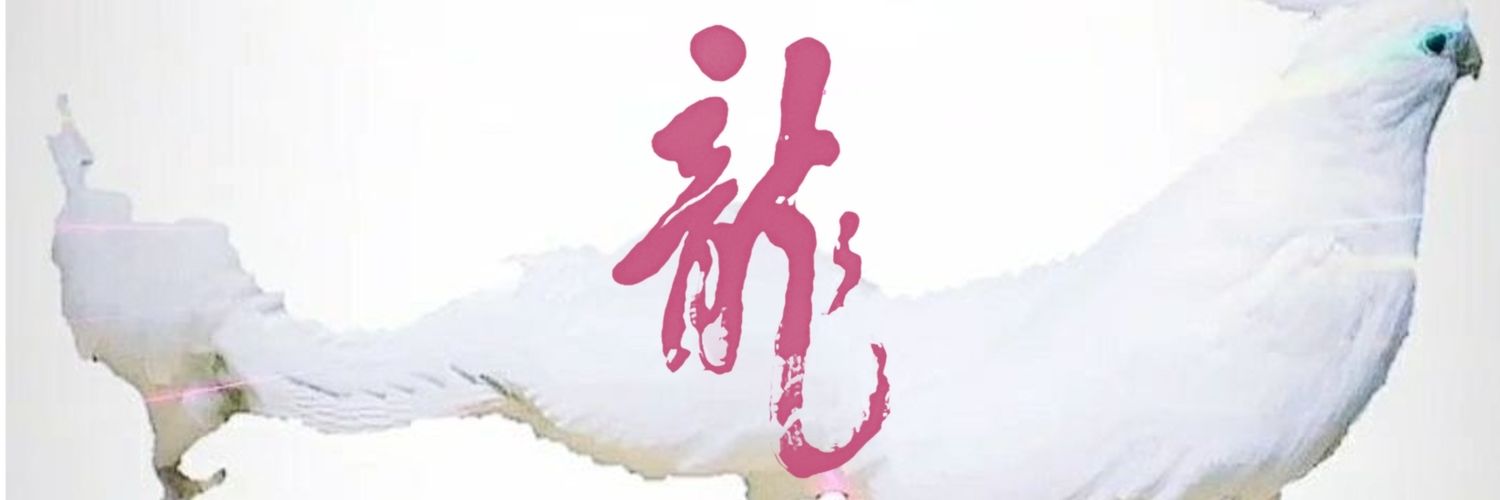 kunit0923's profile banner image