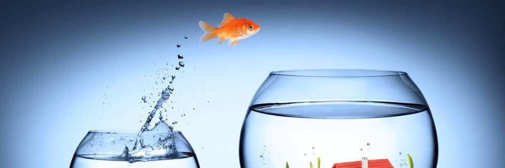 StanChowRealtor's profile banner image