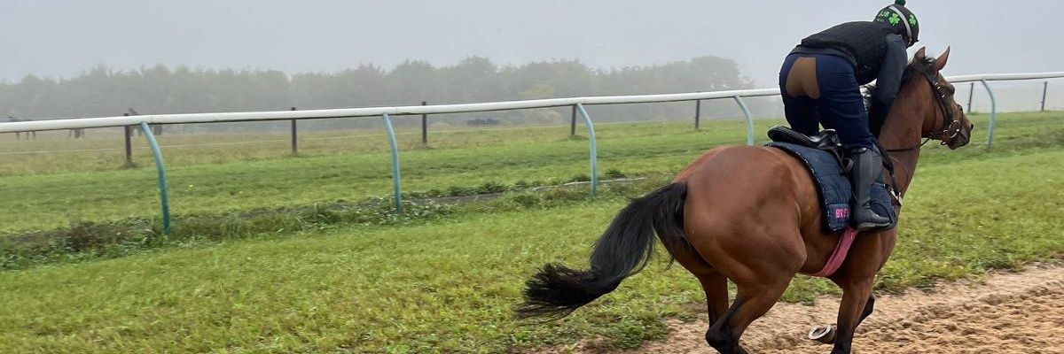 dannysatch's profile banner image