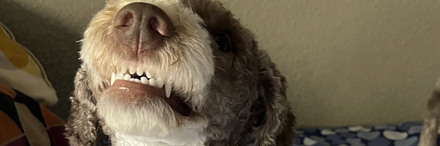 AitzolArregui's profile banner image