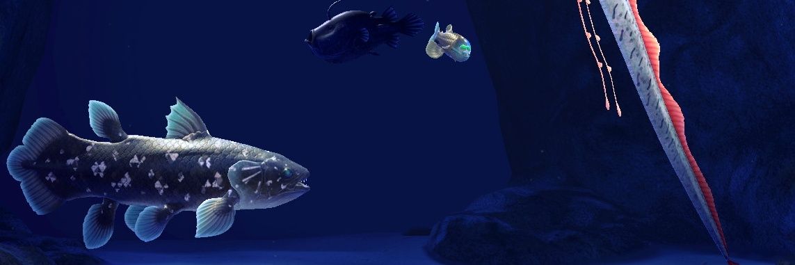 ほうれんそう banner